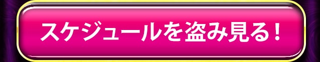 スケジュールを盗み視る！